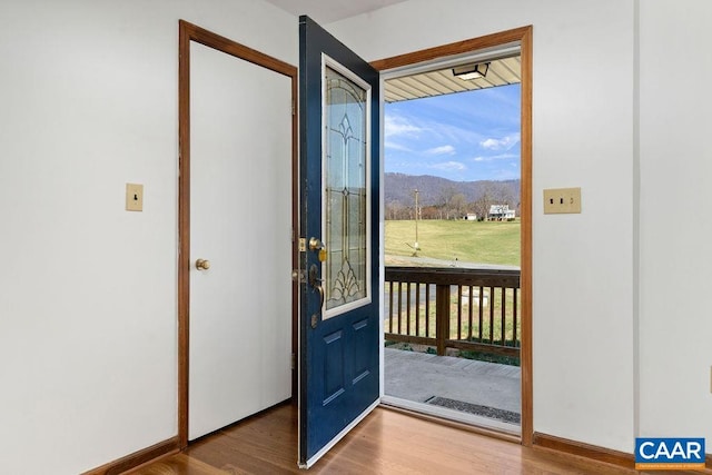 492 Avon Rd, Afton, VA 22920 - doorway with a mountain view and wood finished floors