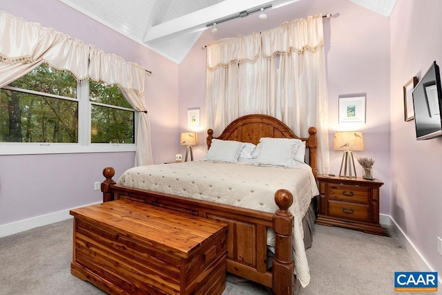 102 Devils Knob Loop, Wintergreen Resort, VA 22967 - carpeted bedroom featuring rail lighting, baseboards, and high vaulted ceiling