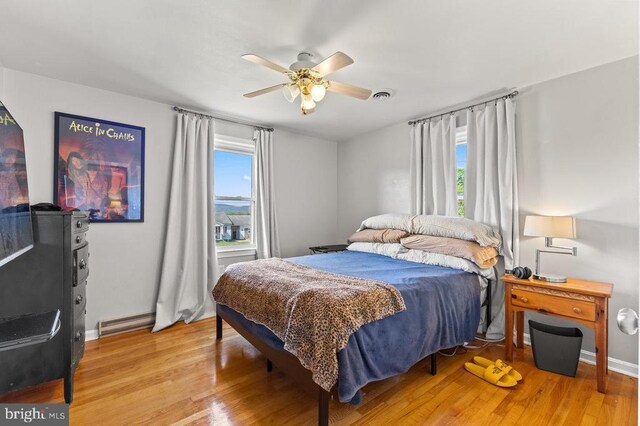 2266 Honeyville Rd, Stanley, VA 22851 - bedroom with multiple windows, light wood-type flooring, and baseboards