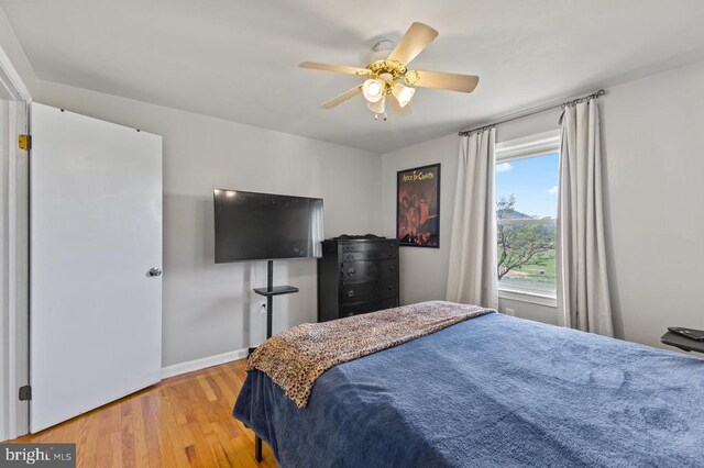 2266 Honeyville Rd, Stanley, VA 22851 - bedroom featuring light wood-type flooring, baseboards, and ceiling fan