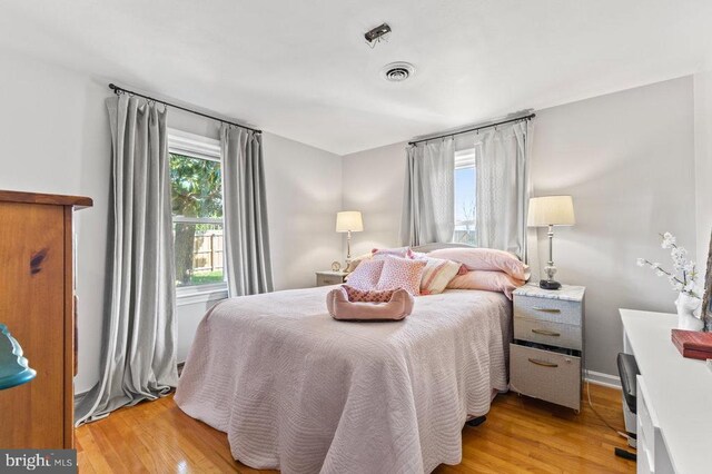2266 Honeyville Rd, Stanley, VA 22851 - bedroom with multiple windows and light wood-style flooring