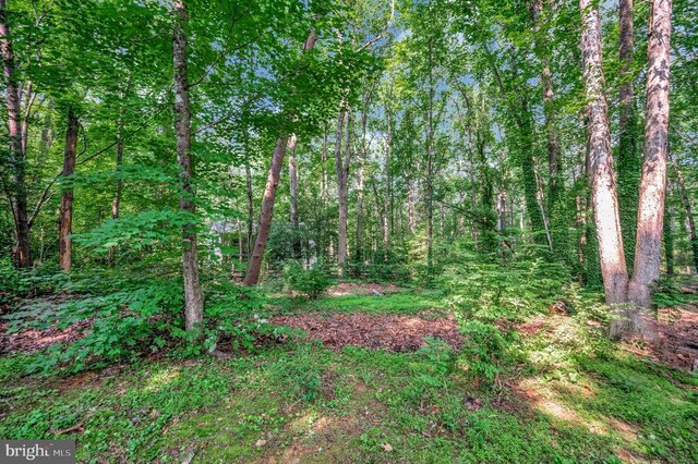 12502 Quarter Charge Dr, Spotsylvania, VA 22551 - photo 38