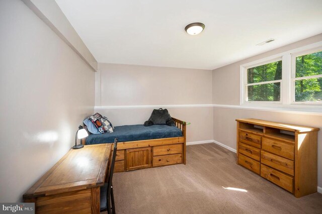 12502 Quarter Charge Dr, Spotsylvania, VA 22551 - photo 30