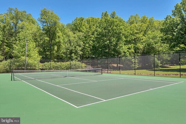12502 Quarter Charge Dr, Spotsylvania, VA 22551 - photo 44