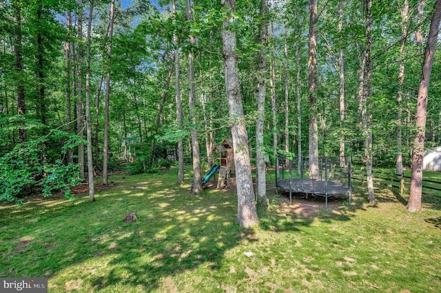 12502 Quarter Charge Dr, Spotsylvania, VA 22551 - photo 34