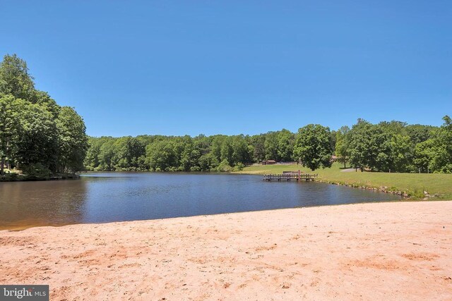 12502 Quarter Charge Dr, Spotsylvania, VA 22551 - photo 43