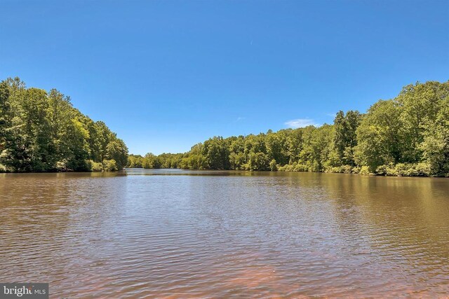 12502 Quarter Charge Dr, Spotsylvania, VA 22551 - photo 41