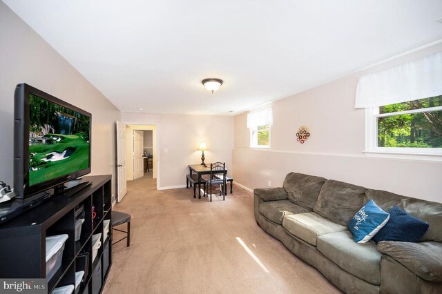 12502 Quarter Charge Dr, Spotsylvania, VA 22551 - photo 26