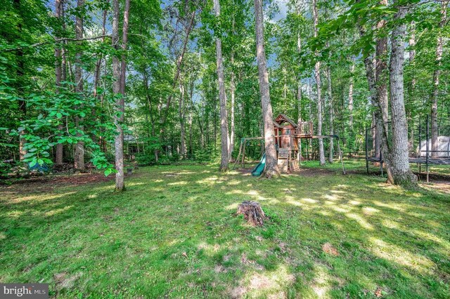 12502 Quarter Charge Dr, Spotsylvania, VA 22551 - photo 35