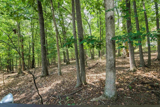 409 Cub Ln, Mcgaheysville, VA 22840 - view of local wilderness