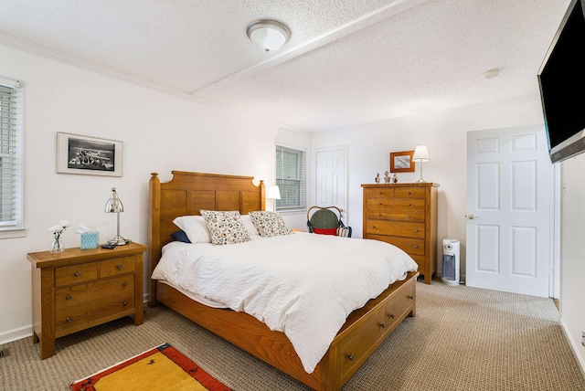 409 Cub Ln, Mcgaheysville, VA 22840 - bedroom with light colored carpet, crown molding, and a closet