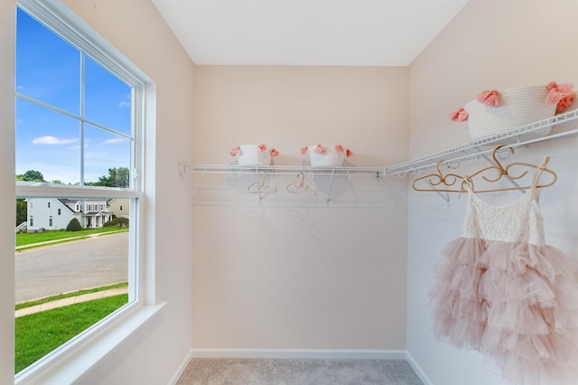 6 Windsong Ct N, Fishersville, VA 22939 - walk in closet featuring carpet