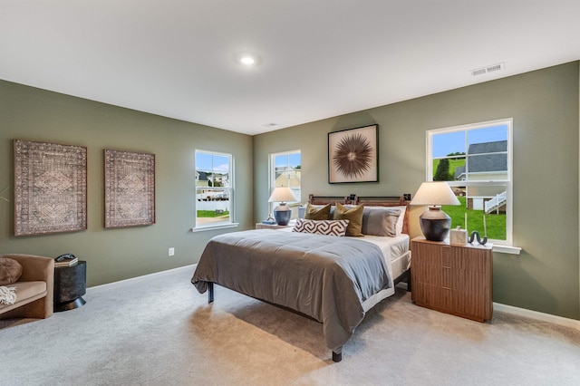 6 Windsong Ct N, Fishersville, VA 22939 - bedroom with light carpet, baseboards, and multiple windows