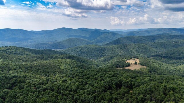 22590 Criders Rd, Criders, VA 22820 - photo 19