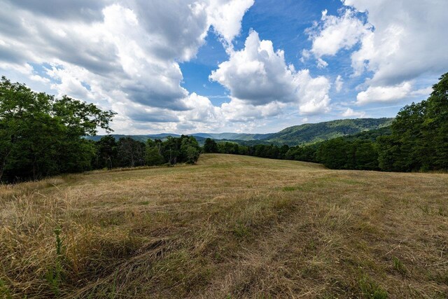 22590 Criders Rd, Criders, VA 22820 - photo 35