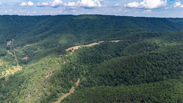 22590 Criders Rd, Criders, VA 22820 - photo 11