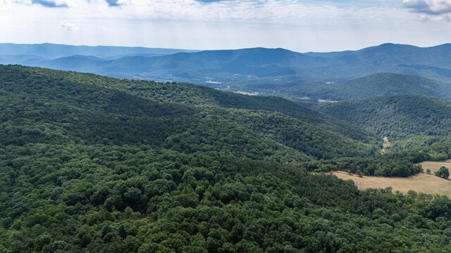 22590 Criders Rd, Criders, VA 22820 - photo 26