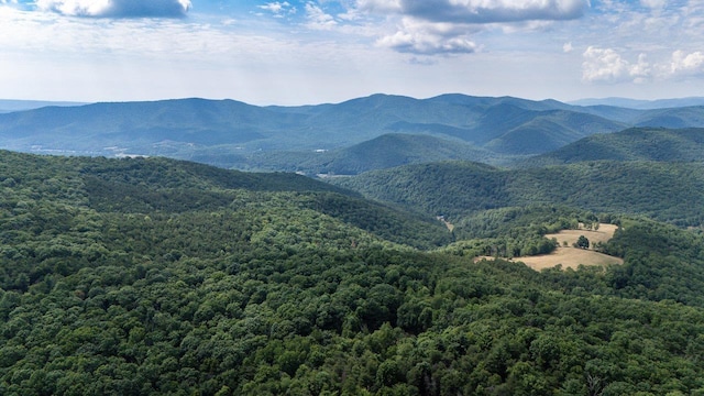 22590 Criders Rd, Criders, VA 22820 - photo 18