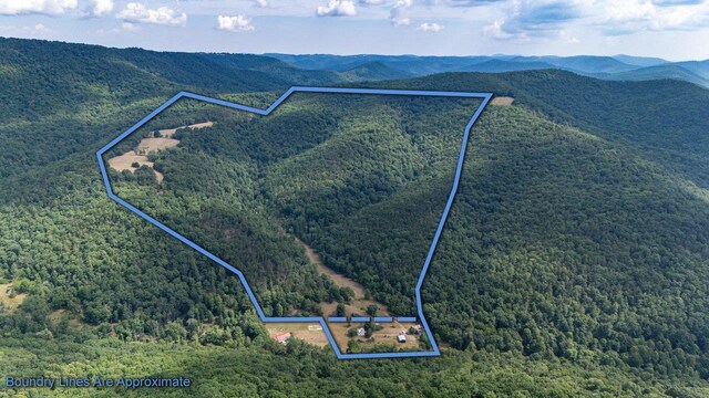 22590 Criders Rd, Criders, VA 22820 - photo 1