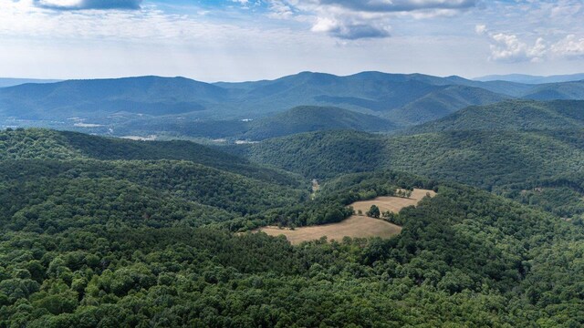 22590 Criders Rd, Criders, VA 22820 - photo 16
