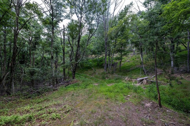 22590 Criders Rd, Criders, VA 22820 - photo 57