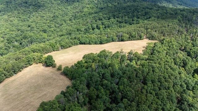 22590 Criders Rd, Criders, VA 22820 - photo 31