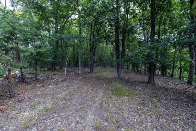 22590 Criders Rd, Criders, VA 22820 - photo 63