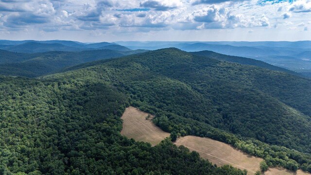 22590 Criders Rd, Criders, VA 22820 - photo 22