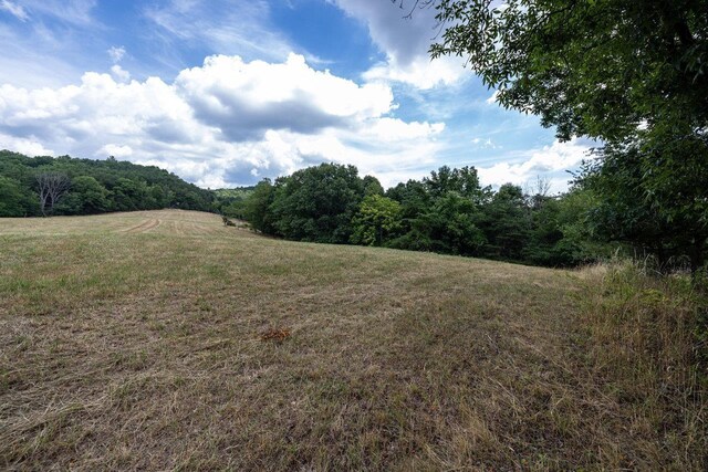 22590 Criders Rd, Criders, VA 22820 - photo 48