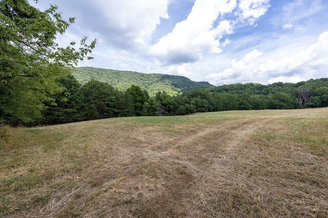 22590 Criders Rd, Criders, VA 22820 - photo 47