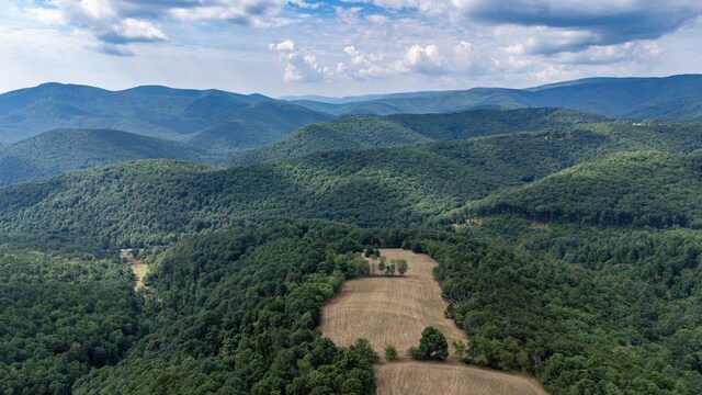 22590 Criders Rd, Criders, VA 22820 - photo 15