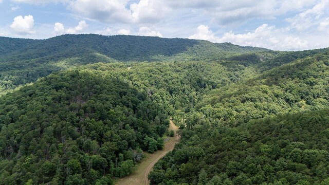 22590 Criders Rd, Criders, VA 22820 - photo 7