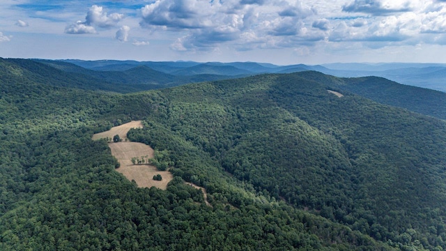 22590 Criders Rd, Criders, VA 22820 - photo 24