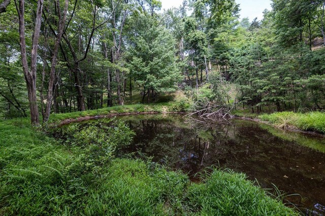 22590 Criders Rd, Criders, VA 22820 - photo 55