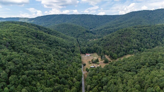 22590 Criders Rd, Criders, VA 22820 - photo 9