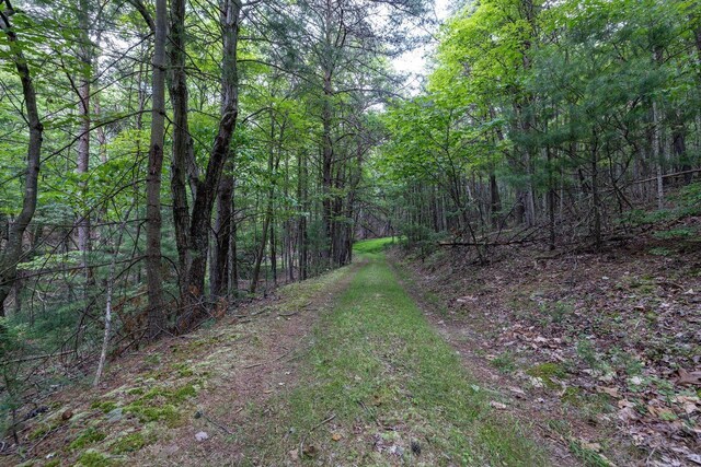 22590 Criders Rd, Criders, VA 22820 - photo 65