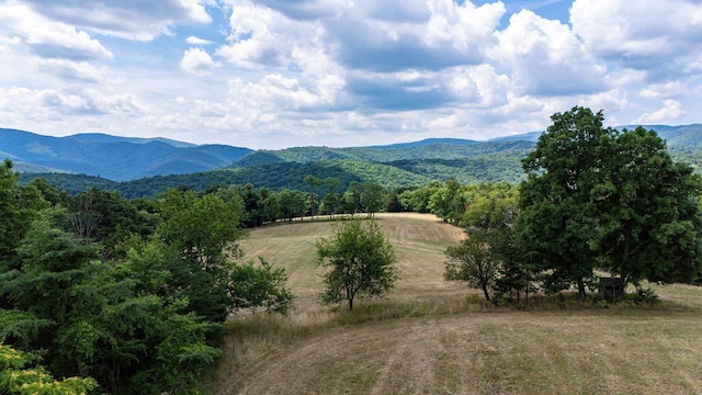 22590 Criders Rd, Criders, VA 22820 - photo 40