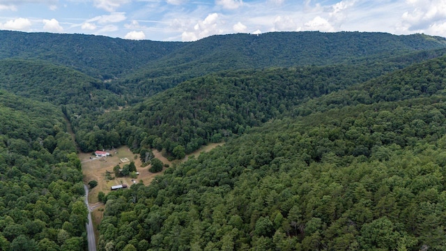 22590 Criders Rd, Criders, VA 22820 - photo 8