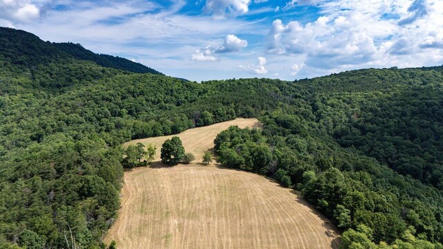 22590 Criders Rd, Criders, VA 22820 - photo 32