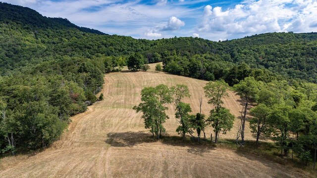 22590 Criders Rd, Criders, VA 22820 - photo 34