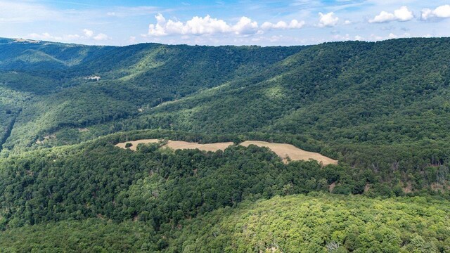 22590 Criders Rd, Criders, VA 22820 - photo 12