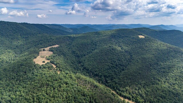 22590 Criders Rd, Criders, VA 22820 - photo 71