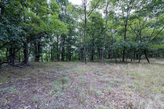 22590 Criders Rd, Criders, VA 22820 - photo 64