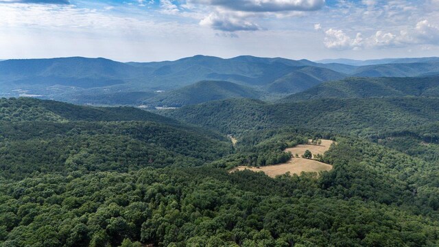22590 Criders Rd, Criders, VA 22820 - photo 17