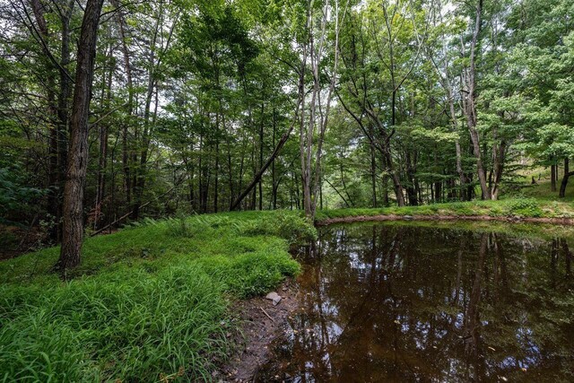 22590 Criders Rd, Criders, VA 22820 - photo 53