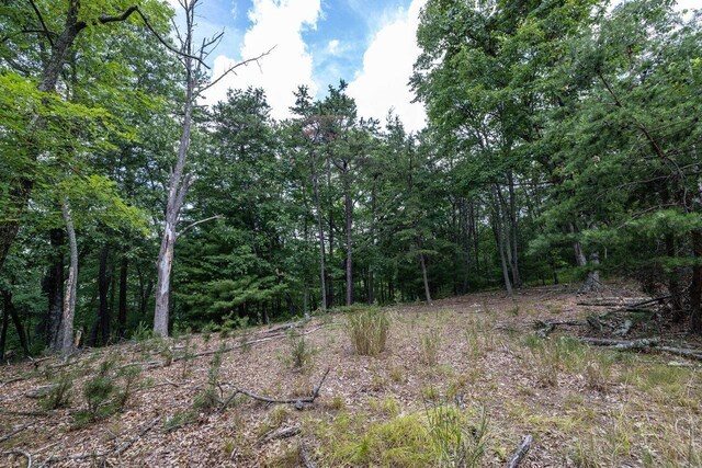 22590 Criders Rd, Criders, VA 22820 - photo 61