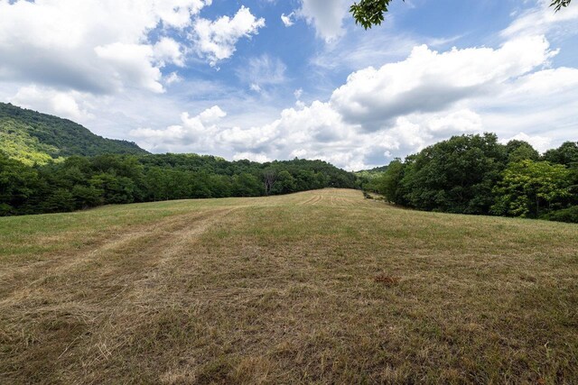 22590 Criders Rd, Criders, VA 22820 - photo 46