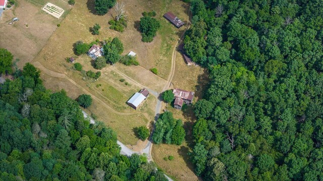 22590 Criders Rd, Criders, VA 22820 - photo 3