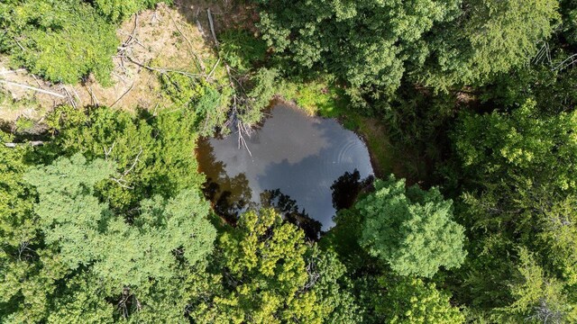 22590 Criders Rd, Criders, VA 22820 - photo 51