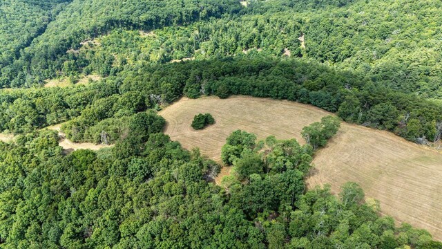 22590 Criders Rd, Criders, VA 22820 - photo 30
